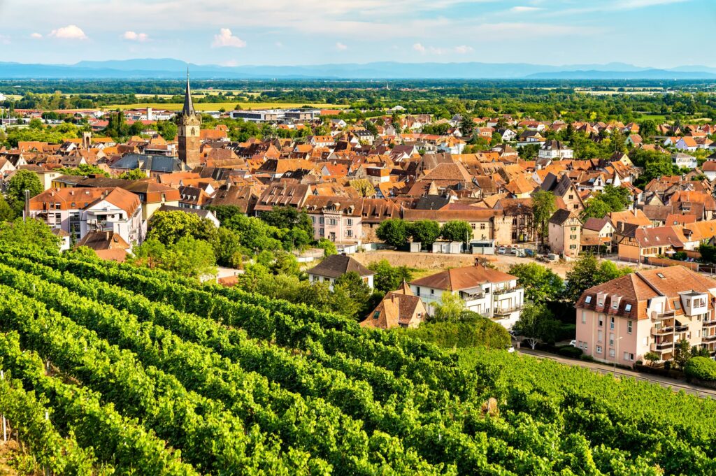 vue sur la ville d'Obernai dans le Bas-Rhin (67) en Alsace
